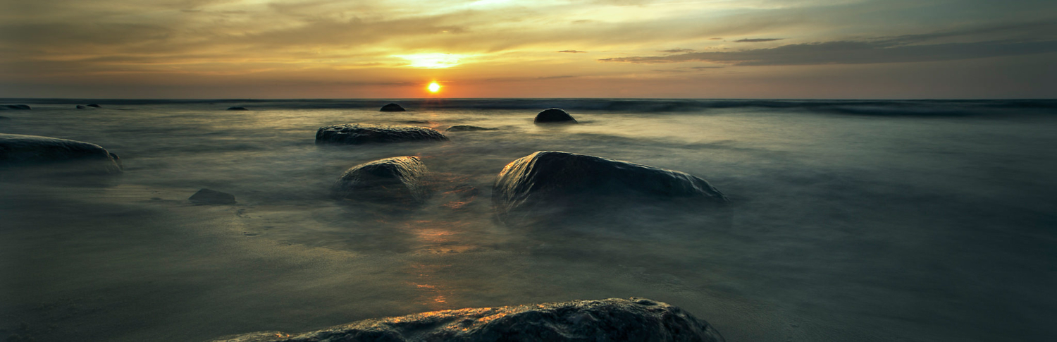 Teilnehmende des Fotokurs Märchenwald Rügen fotografieren am mystischen Wasser
