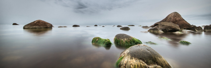 Teilnehmende des Fotokurs Märchenwald Rügen fotografieren am mystischen Wasser