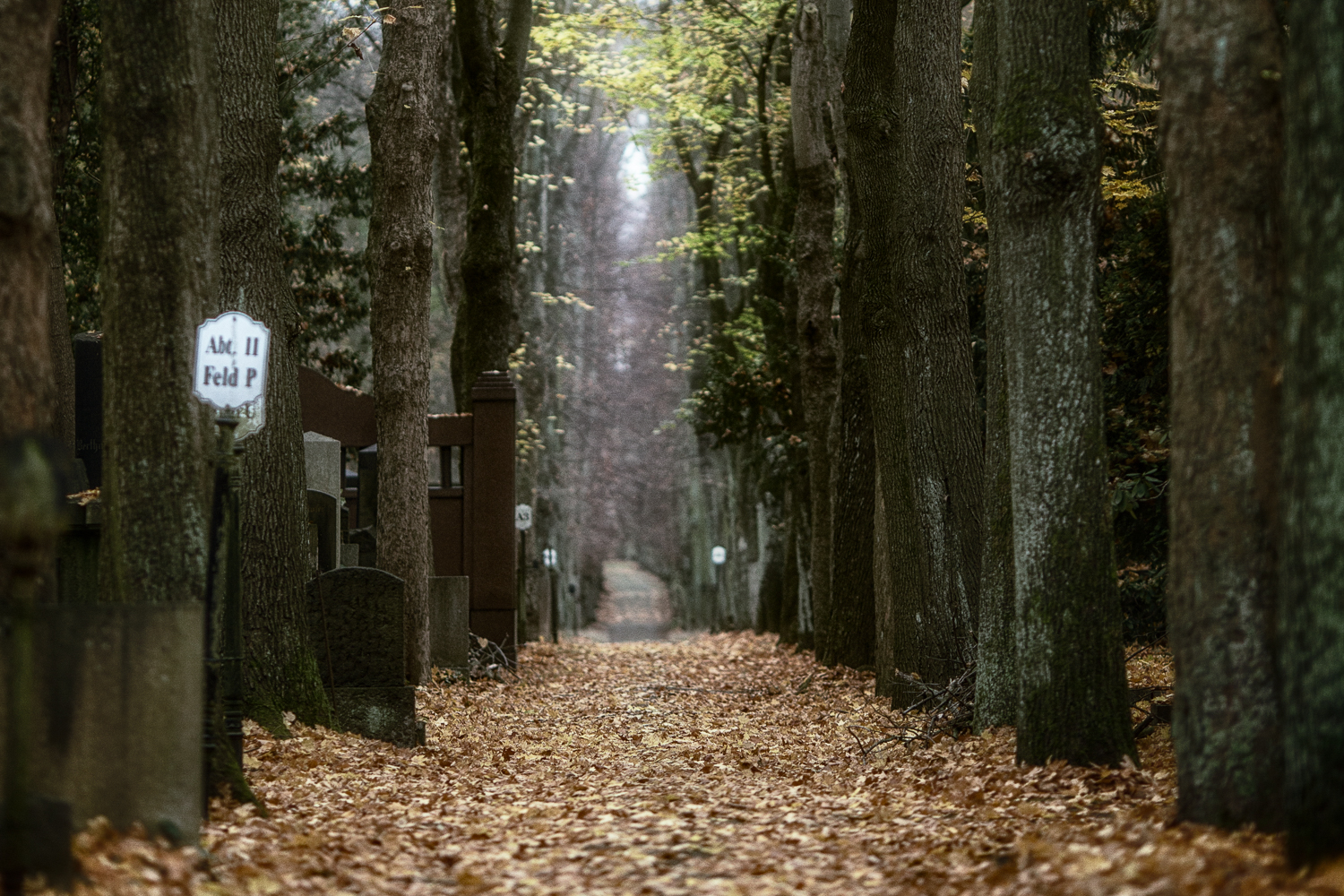 Fotoworkshop Jüdischer Friedhof Weißensee – historische Grabsteine und Architektur