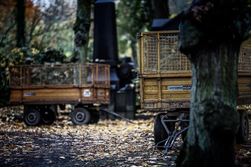 Fotoworkshop Jüdischer Friedhof Weißensee – historische Grabsteine und Architektur