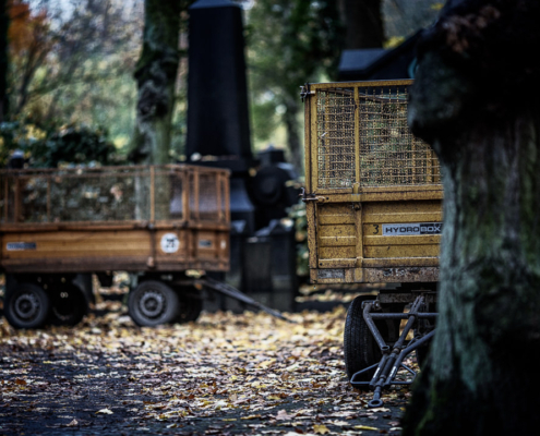 Fotoworkshop Jüdischer Friedhof Weißensee – historische Grabsteine und Architektur