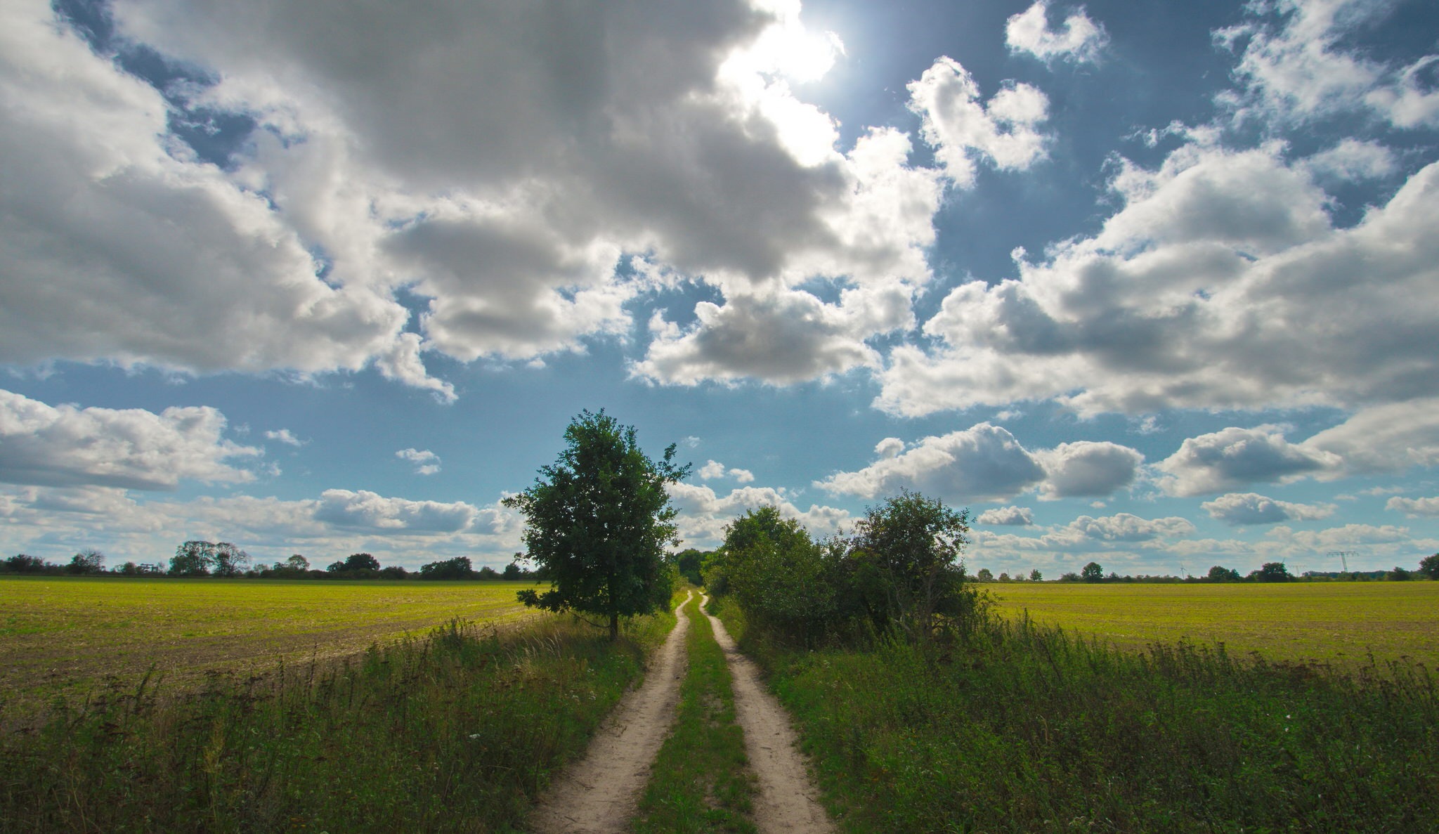 Landschafts- und Naturfotografie