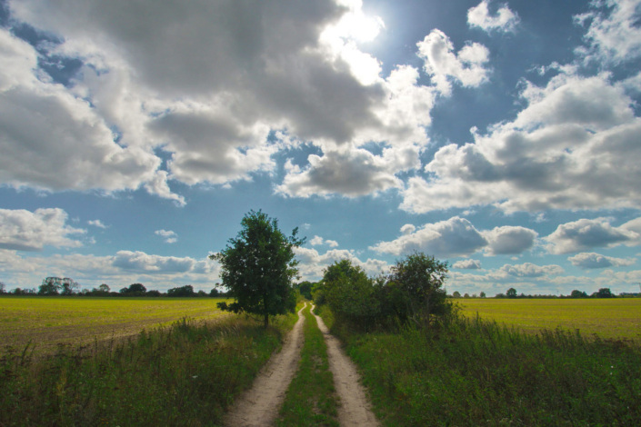 Landschafts- und Naturfotografie